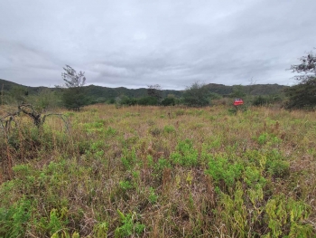 TERRENO EN VENTA EN LAS JARILLAS, SAN ANTONIO DE ARREDONDO, CORDOBA